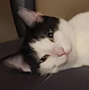 Meet your Posher, Kelsey